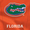 University of Florida Orange Jersey Surface Pro 3 Skin