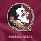 Florida State University Red Jersey iPhone XS Skin
