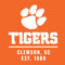 Clemson University Tigers Est 1889 Orange Wii (Includes 1 Controller) Skin