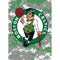 NBA Boston Celtics Digi Camo Amazon Echo Buds Skin
