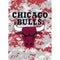 NBA Chicago Bulls Digi Camo Apple AirPods Pro Skin