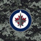 NHL Winnipeg Jets Camo Galaxy Buds Plus Skin