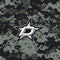 NHL Dallas Stars Camo Amazon Echo Buds Skin