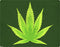 Marijuana Leaf Light Green Galaxy A10e Clear Case