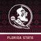 Florida State University Pattern Jersey XBox Series X Digital Edition Console Skin