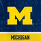 University of Michigan Jersey Split Surface Pro 3 Skin