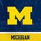 University of Michigan Jersey Split Galaxy S20 Fan Edition Skin