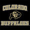 University of Colorado CU Logo on Gold Wii (Includes 1 Controller) Skin