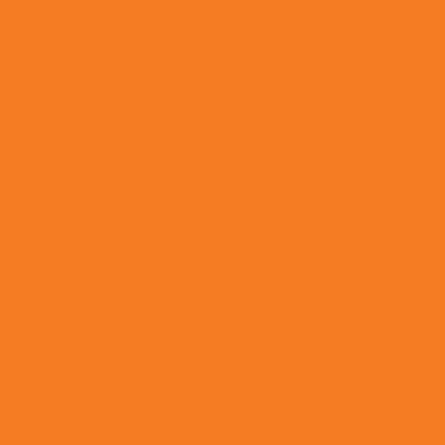 Color Pop Florida Orange Surface Pro 7 Skin