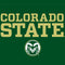 Colorado State University CSU Apple Pencil (2nd Gen 2019) Skin