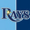 MLB Tampa Bay Rays Split iPhone 14 Pro Folio Case