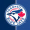 MLB Toronto Blue Jays Split iPhone 13 Folio Case