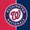 MLB Washington Nationals Split iPhone 13 Pro Folio Case