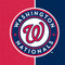 MLB Washington Nationals Split Apple Pencil (1st Gen, 2017) Skin