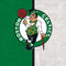 NBA Boston Celtics Canvas Nintendo Switch Lite Skin