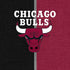 NBA Chicago Bulls Canvas iPhone 15 Skin