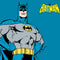 DC Comics Batman Portrait Wii (Includes 1 Controller) Skin