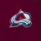 NHL Colorado Avalanche Distressed iPhone 13 Folio Case