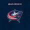 NHL Columbus Blue Jackets Distressed Beats Solo Pro Skin