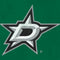 NHL Dallas Stars Distressed iPhone 13 Pro Max Folio Case