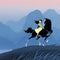 Disney Mulan Riding Khan iPhone 14 Plus Folio Case