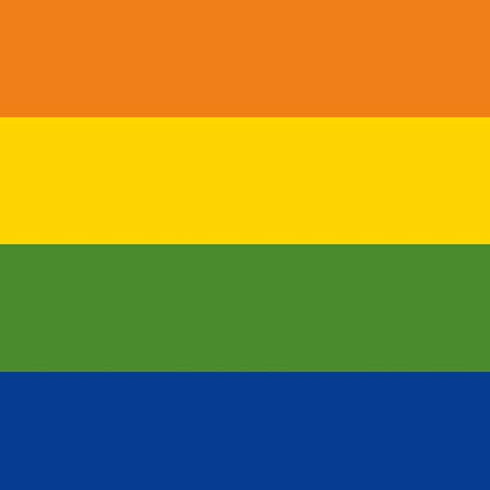 The Rainbow Flag Beats Solo Pro Skin