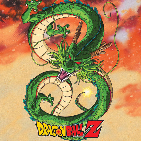 Dragon Ball Z One Wish Shenron iPhone 16 Pro Max Skin