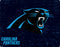NFL Carolina Panthers Distressed Amazon Echo Buds Skin
