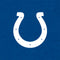 NFL Indianapolis Colts Distressed Amazon Echo Buds Skin