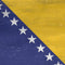 Bosnia and Herzegovina Flag Distressed Beats Solo Pro Skin