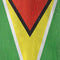Guyana Flag Distressed Steam Deck Handheld Gaming Computer OLED Skin