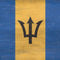 Barbados Flag Distressed Moto E5 Play Skin