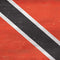 Trinidad and Tobagao Flag Distressed DS Lite Skin