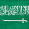 Saudi Arabia Flag Distressed Portege Z30t/Z30t-A Skin