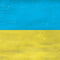 Ukraine Flag Distressed Beats Solo 2 Wireless Skin