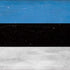 Estonia Flag Distressed iPhone 15 Skin