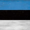 Estonia Flag Distressed Google Stadia Controller Skin