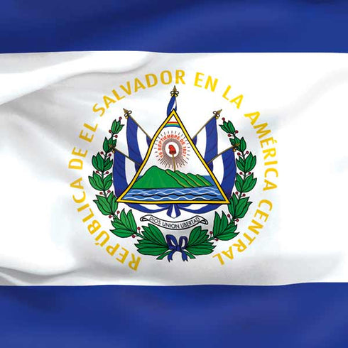 El Salvador Flag Nintendo Switch Lite Skin