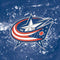 NHL Columbus Blue Jackets Frozen Amazon Echo Buds Skin