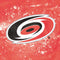 NHL Carolina Hurricanes Frozen Amazon Echo Buds Skin