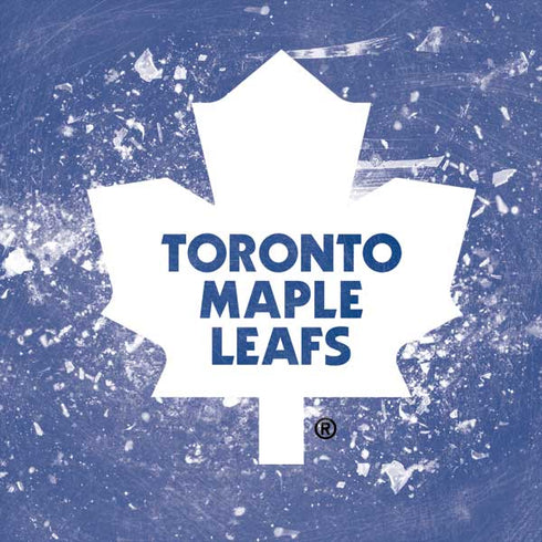 NHL Toronto Maple Leafs Frozen DS Lite Skin