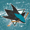 NHL San Jose Sharks Frozen Amazon Echo Buds Skin