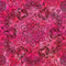Pink Zen Ginseng Bose Noise Cancelling Headphones 700 Skin