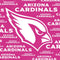 NFL Arizona Cardinals Pink Blast Amazon Echo Buds Skin