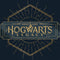 Wizarding World Hogwarts Legacy Emblem Google Pixel 4a Skin