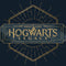 Wizarding World Hogwarts Legacy Emblem iPhone 13 Pro Skin