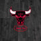 NBA Chicago Bulls Hardwood Classics G203 Prodigy RGB Wired Gaming Mouse Skin