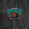 NBA Memphis Grizzlies Hardwood Classics DS Lite Skin