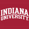 Indiana University Hoosiers iPhone 13 Folio Case