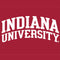 Indiana University Hoosiers iPhone 14 Folio Case